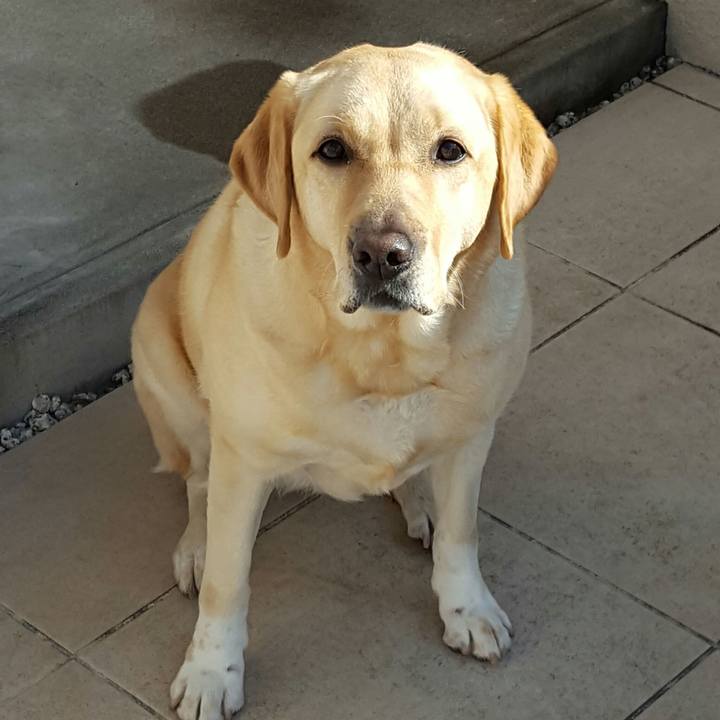 9177b819 2da4 4a6e a262 c13cb90ac750