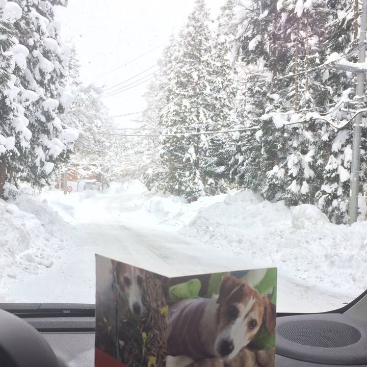 91780e22 0d3f 40d8 a9cb 1ec78106ea02