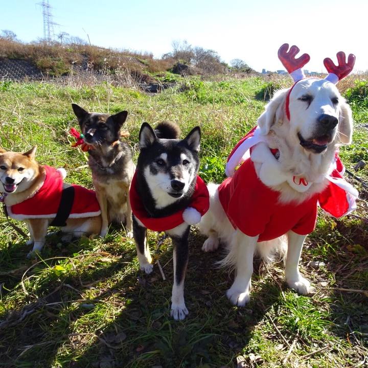 9178a649 8e75 499d a750 4180cb451fbe