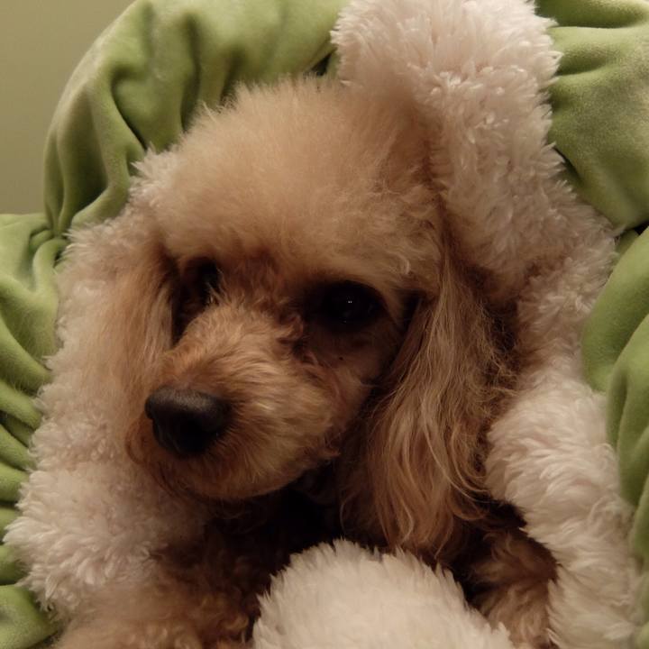 9178b6f2 8f5a 4c05 bece b484a270b493