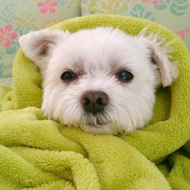 91792c6f 70d6 4f21 b07b 315d5b84a1b9