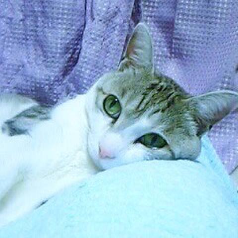 917a89b3 2711 4f67 8f56 bb82f396b3ae