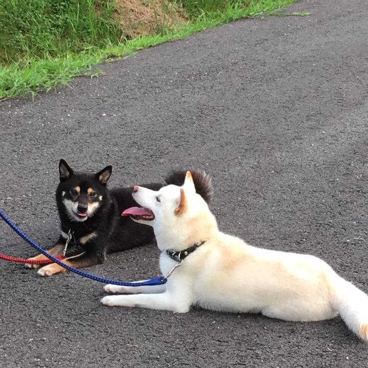 917a9fe8 f946 41fc 8a16 e07dfb7ebd81