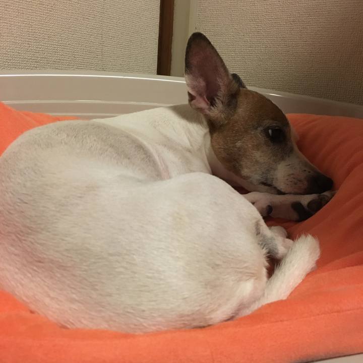 917ab313 0ce2 4def 812d bb3cc24393e0