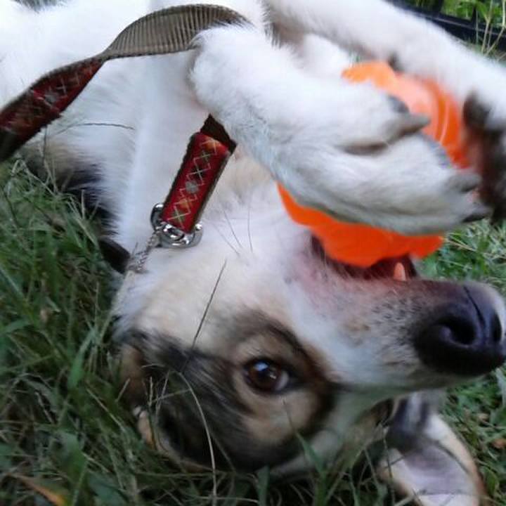 917b1e62 0d70 4d5c a22f 16a6f46d187e