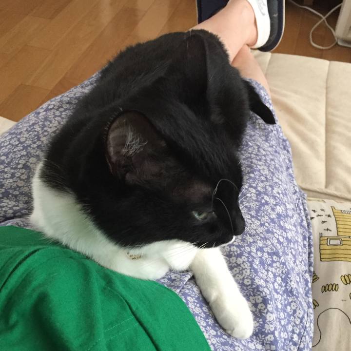 917bdccd d6df 4a10 b07f 03dd7c3ca4d6