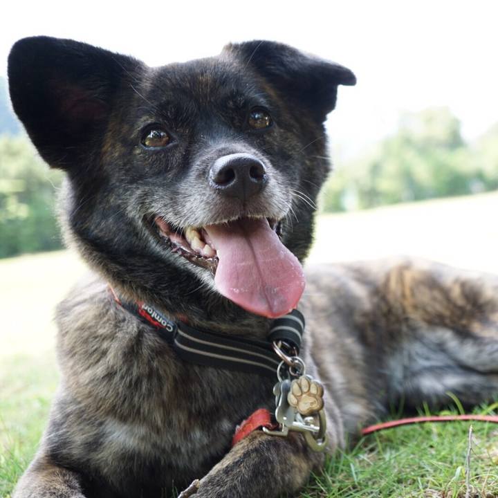 917be1f3 6cc6 4bcf a54c f358ebb253d7