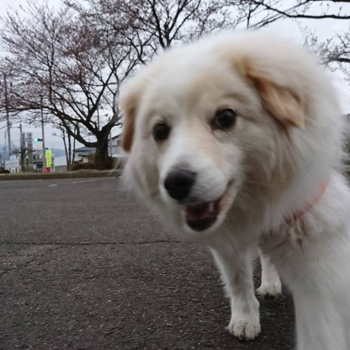 917c2120 9105 4168 8557 b087a7b6e9f6