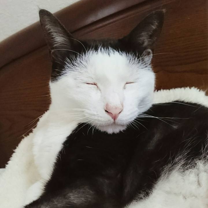 917c43aa a844 4f59 be5c e25c89ebaa8c