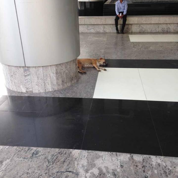 917c6f15 925a 414e 9ca5 1aa08b612b75