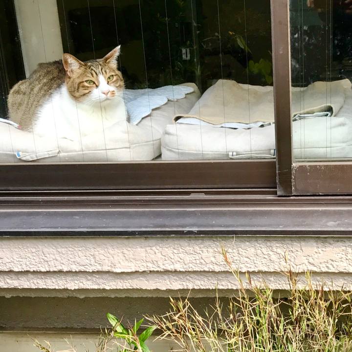 917c89c7 b9c5 4931 9785 e73cc6b45af2