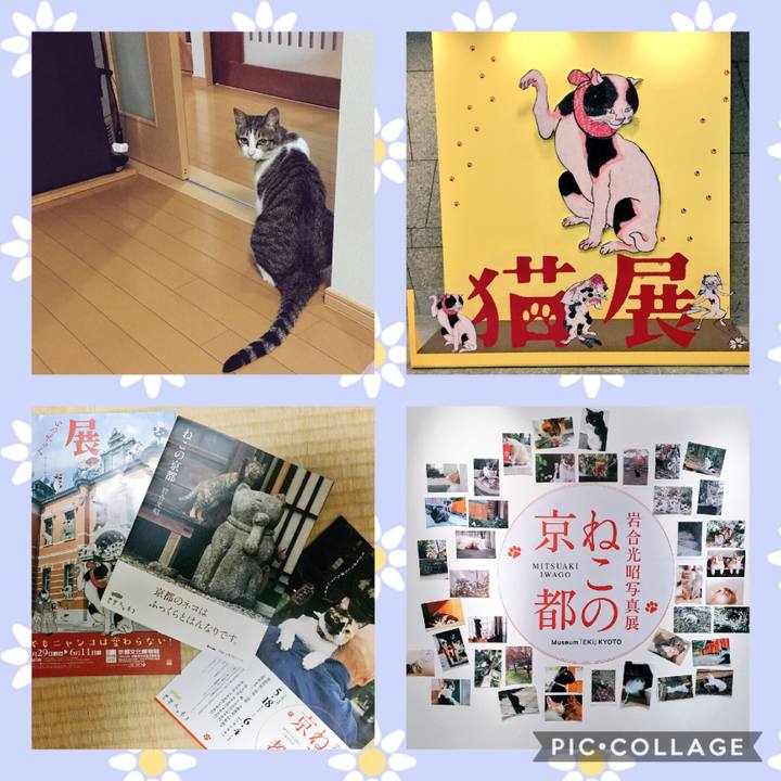 917d536e 7acb 4d0b 8348 745b6aece9ed