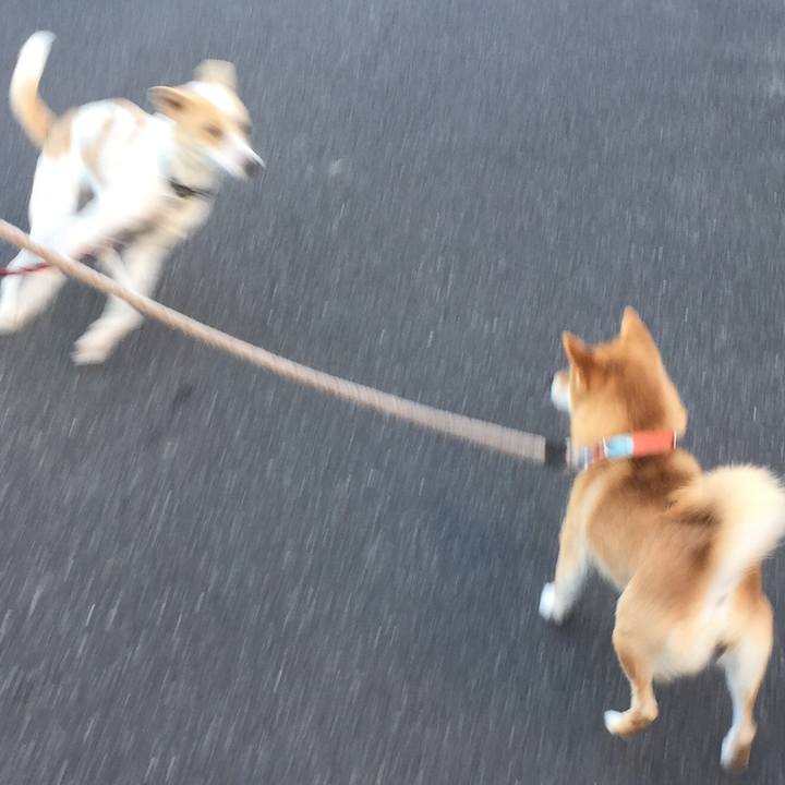 917d628e dd64 496a 849e ff29a3bfb306