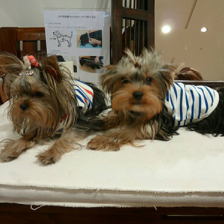 917db2be 39f0 4d2c 9717 962696842817