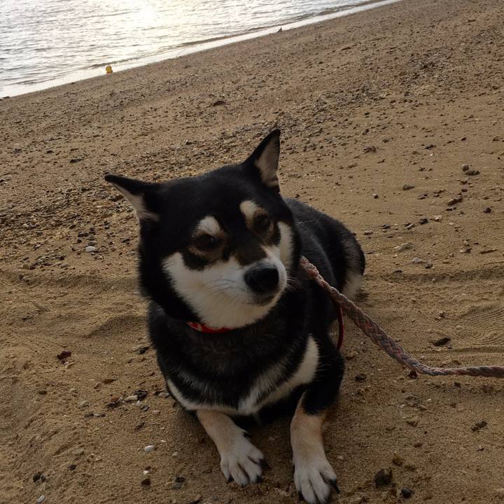 917f0532 8bd8 4d75 abda ebc46991f3bf