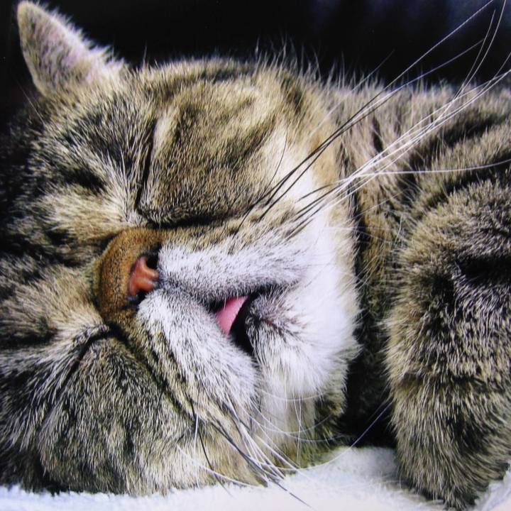 917f2bab f5e4 46cf 9bfb 05fcc7bd2472