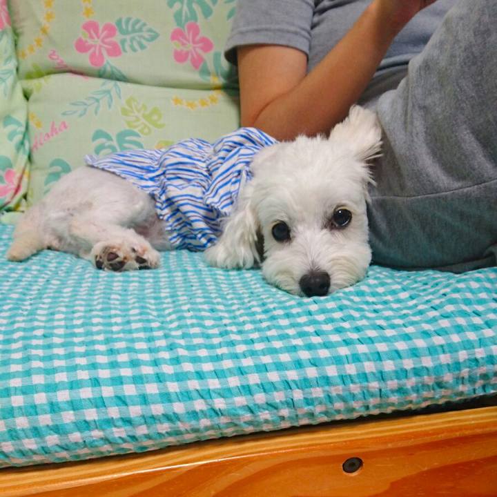 917fa7e7 2b4b 4446 8689 2346153e00b7