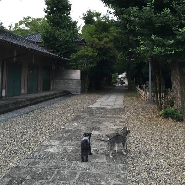 917fd7f2 ab91 41a8 b08f 9b2b648eb307