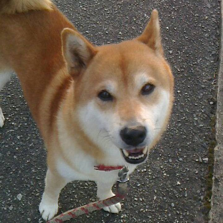 91803cf3 71a7 4e43 9617 b14e7e9e5849