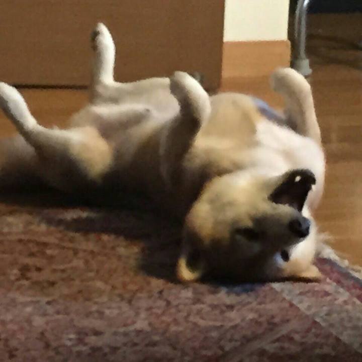 918051a3 f609 4400 aa73 5d6315d34c35