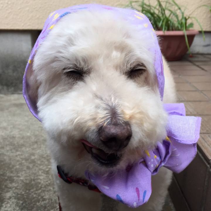 9180ccaf ace7 4a99 84b5 6825bd2b89d3