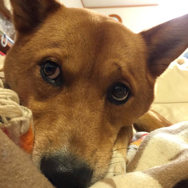 9180f16c 131e 496e 9263 0e86b6062b9c