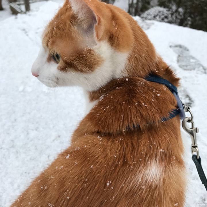 91814611 46c6 48d3 b538 fde057a575af