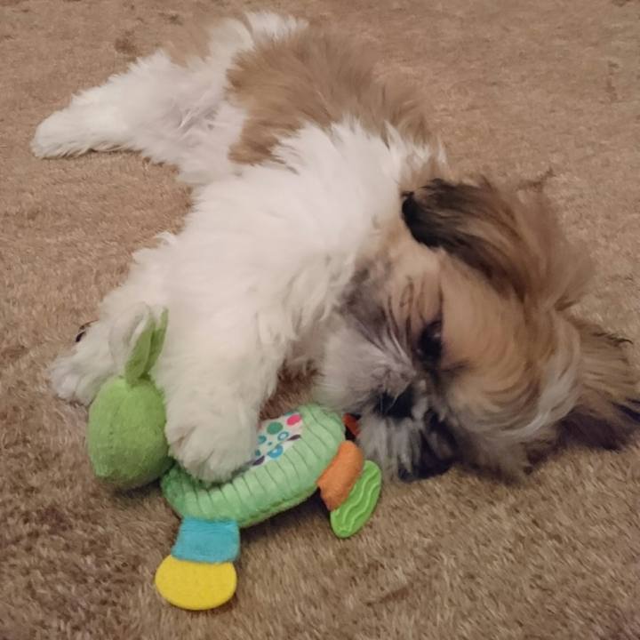 9181ca84 cadd 4df2 a0bf b93e9c353dba