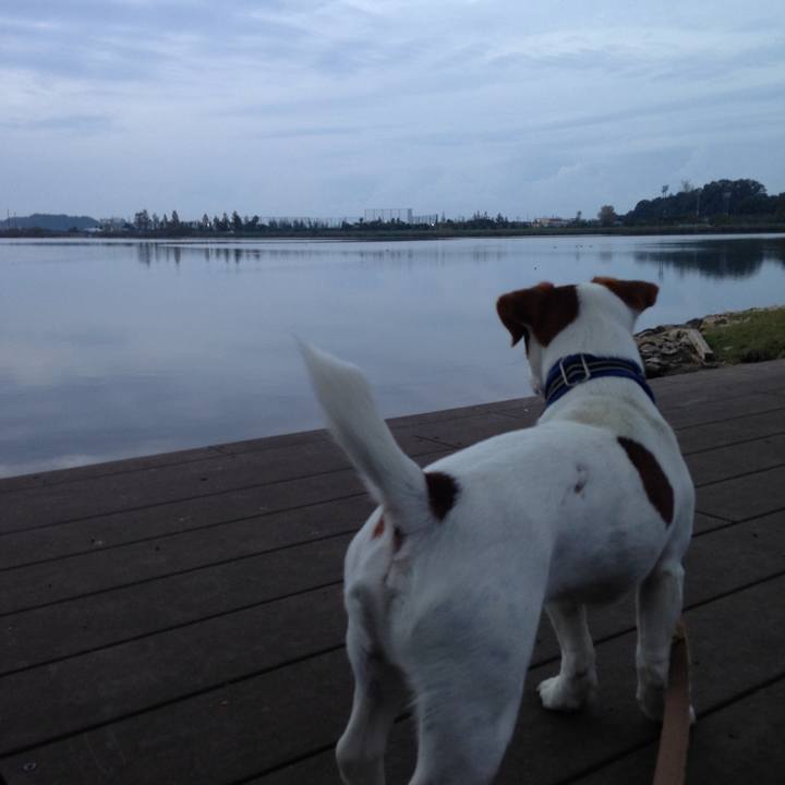 9182c2f2 037e 4d23 9115 1a1edf958a55