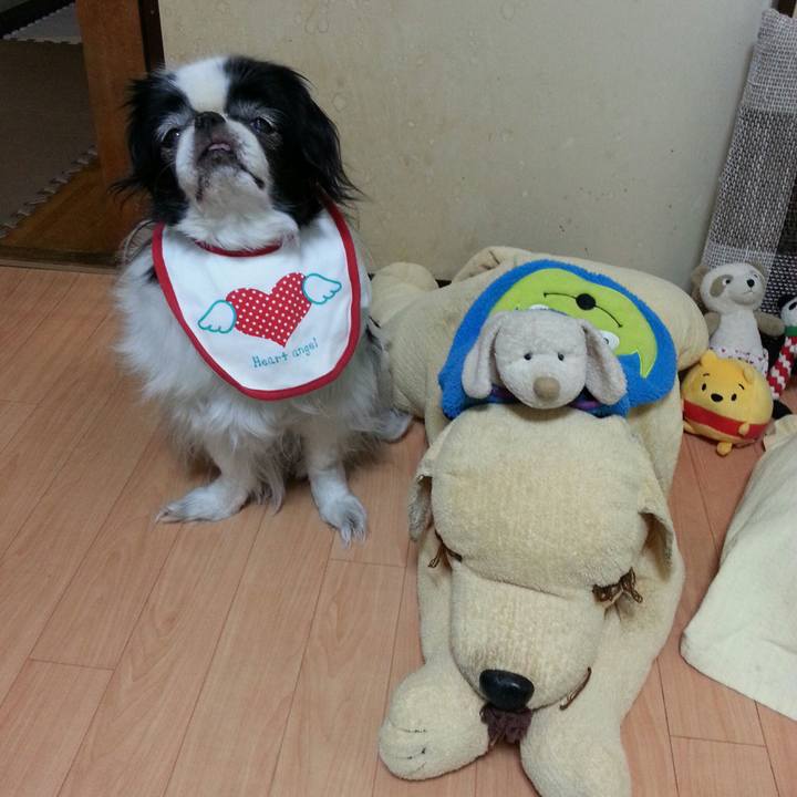 918312dc b593 4103 9c09 32f137e34821