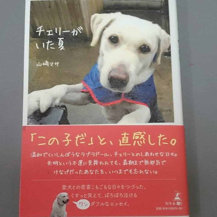 9183a363 2b95 47c2 9605 e4717a8406ca