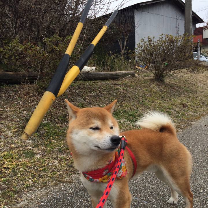 91842801 b467 4fd0 be7a ec89456c51a6