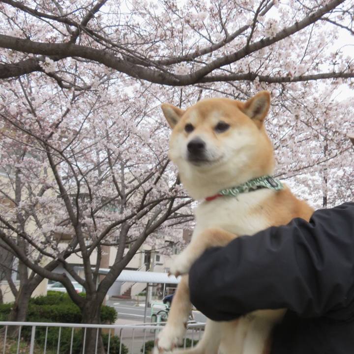 918460f0 fb9f 423a 8e2d 5354e8f65c8e