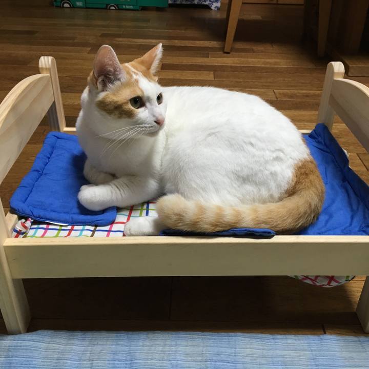 91849bb1 1698 46b8 9c07 9e2fa443fa43