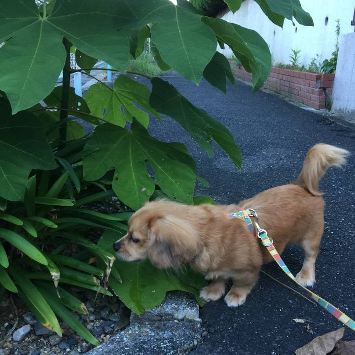 91854584 7b5d 462e b506 b3810e1a3299