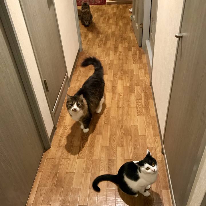 918555d6 82d5 4bc0 9719 671490c6e66a