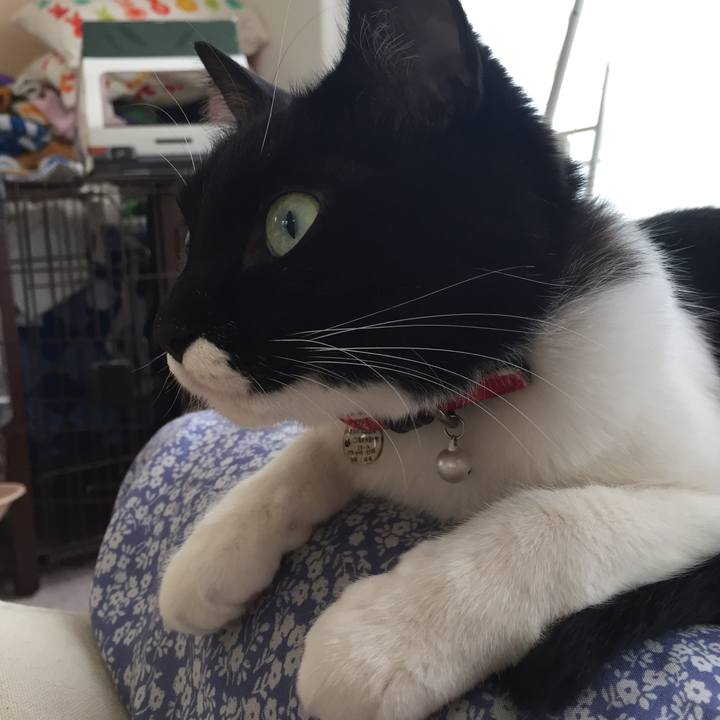 918592a2 cf22 42f2 b80d f7c3354a7847