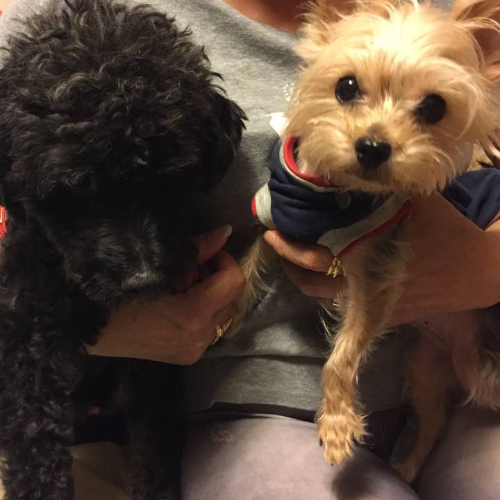 9185e650 7bf2 4616 a0cc c4e89d4a6584