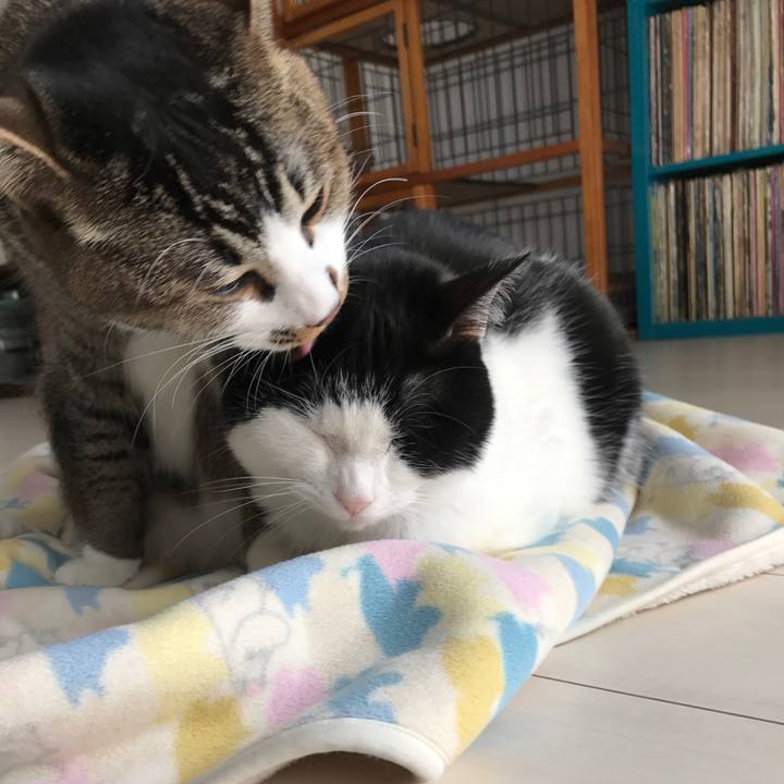 91873b0e 5db7 47e4 b76a d3733b2458c9