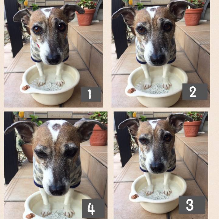 91876c8e 938b 4f2e a334 20e39e1674b5