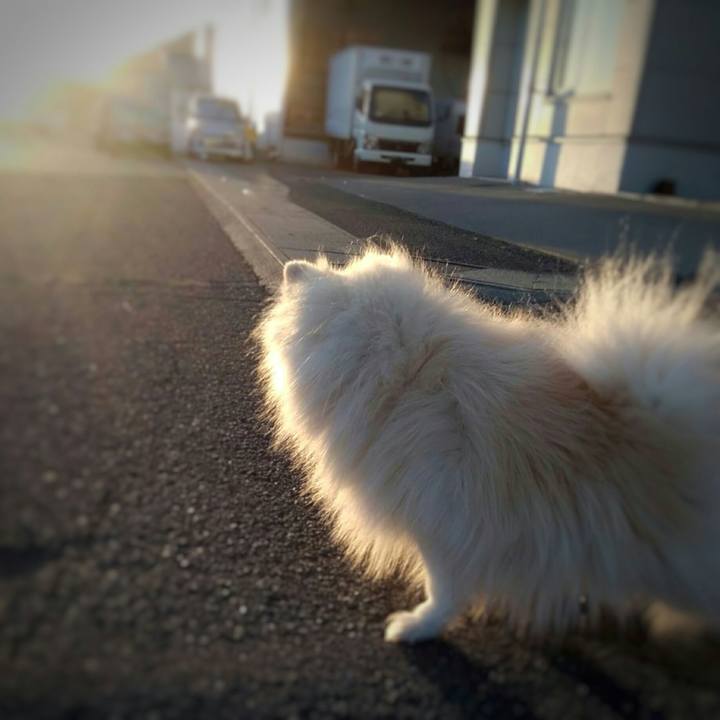 9187cbf4 e1aa 4839 bddf 1ece9a4baf9a