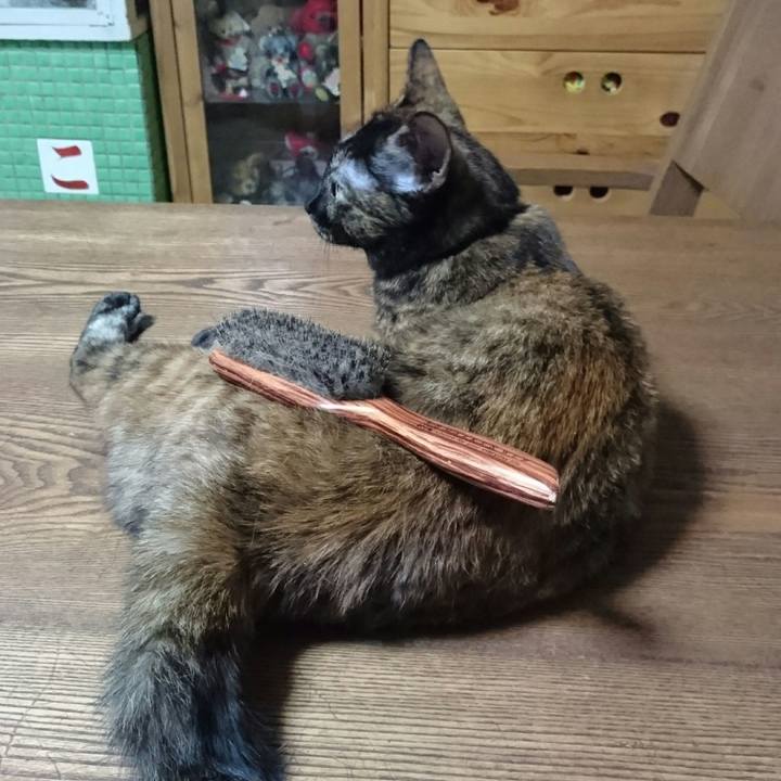 9187f88c 1f8a 4bde b557 4843ae4cf0ce