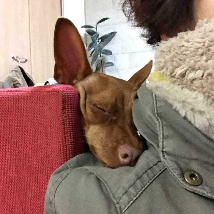 918825c8 4c8b 4363 a33d 12f73c716649