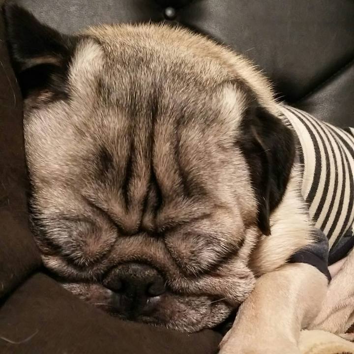 91882dc9 b3a0 4272 9300 3d177fc4aa67