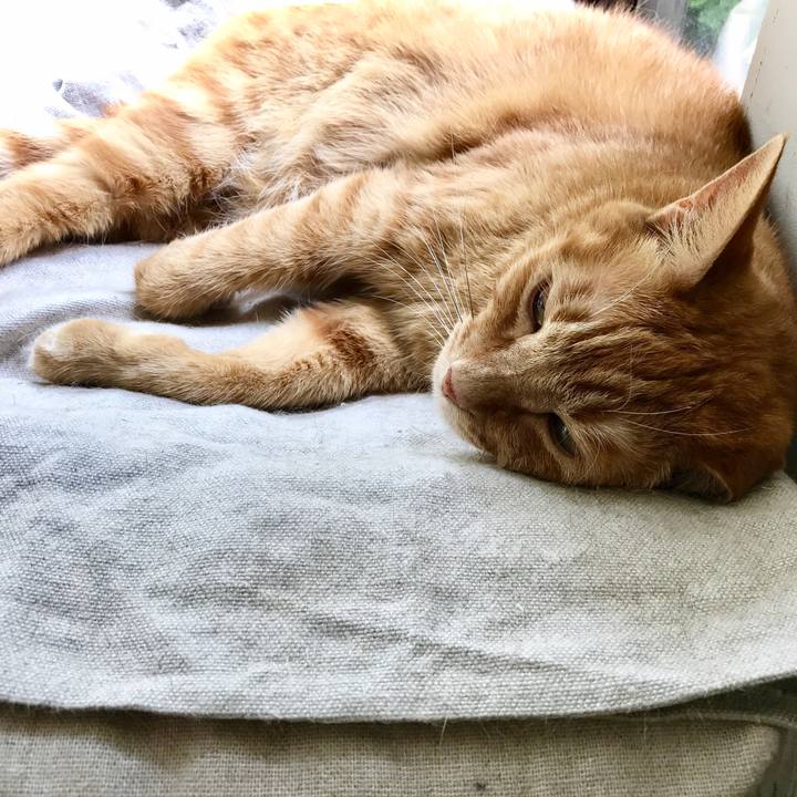 9188df4d 8187 4ed9 9710 062fc04dd4ca