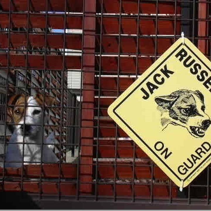 9188e33f 4433 48ef 8b9d 891e07058a83