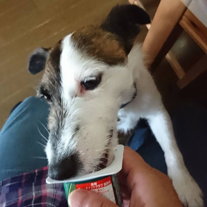 9188eead 86ff 449a a2c2 6a4a77111e32