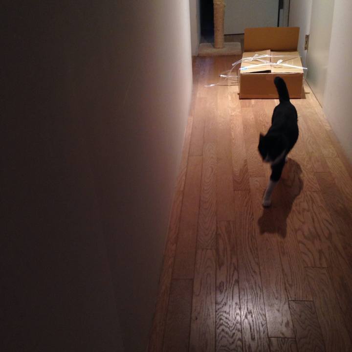 91891537 61b8 4705 abe8 6571e2fac5fa