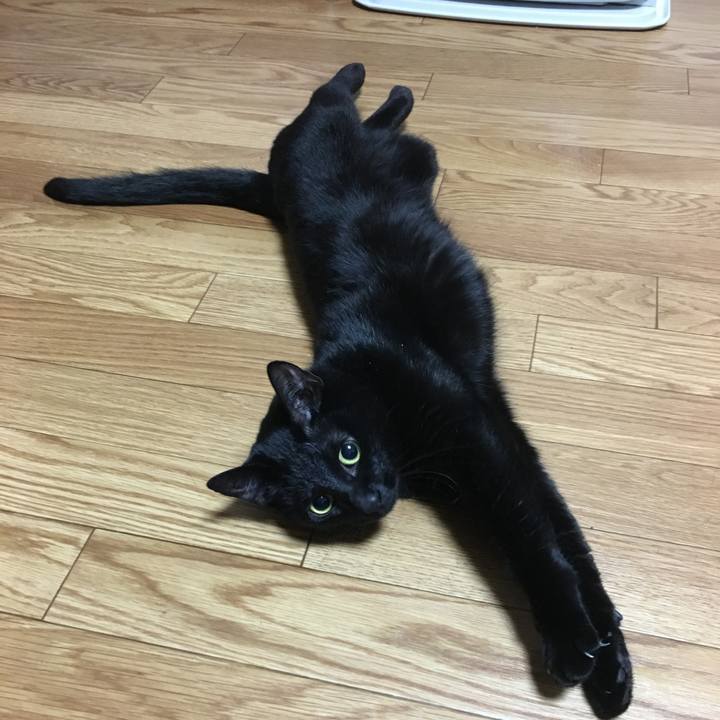 918973d4 bf89 401a a043 cd10ab1ad173