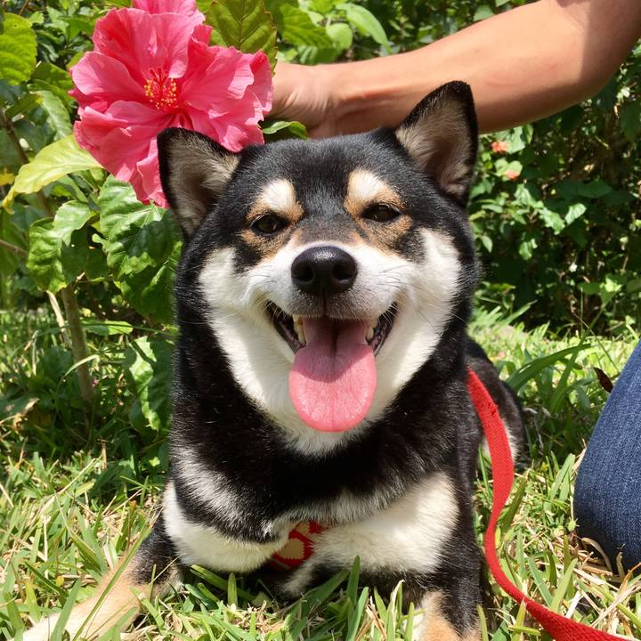 918caa0f 450e 40b4 84cf 191fda3e9d0f